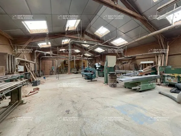 Local d'activité 1100 m²