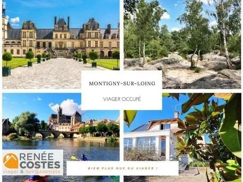 Viager occupé - F84-H85 ans - MONTIGNY SUR LOING (77690)