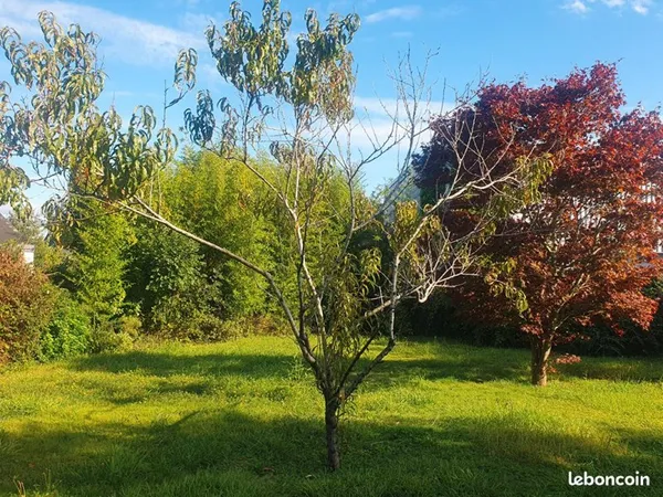 Terrain 557 m² AURAY