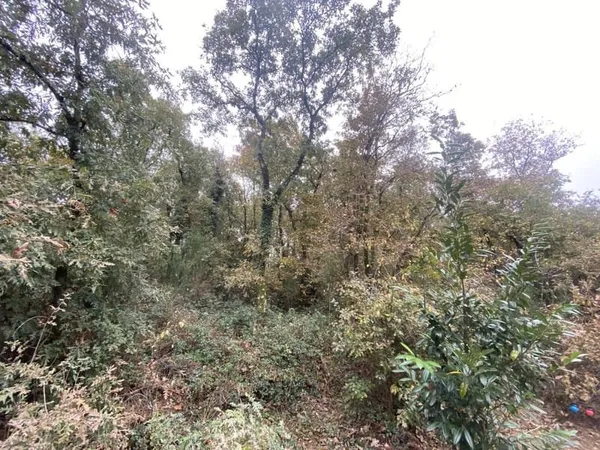 Terrain 10620 m²