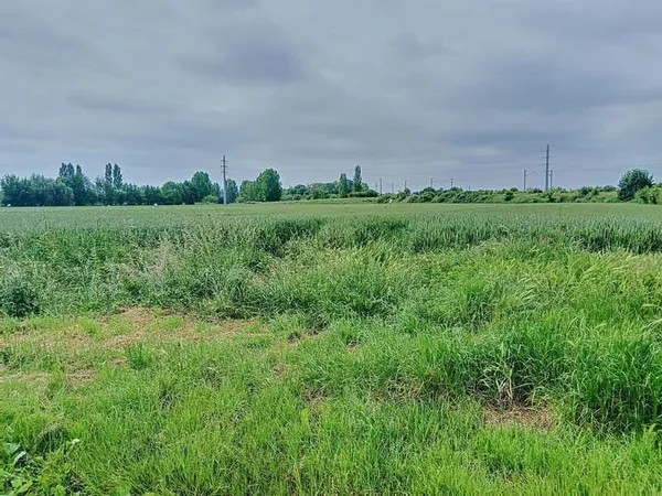 Terrain à bâtir en campagne, sur le triangle Aire-sur-la-Lys, Saint-Venant, Thiennes