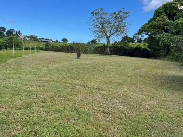 Terrain 7 047 m² Le Lamentin