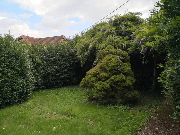 Maison Alsacienne 7 pièces + dépendance sur 584 m2 de terrai