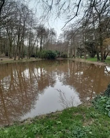 Terrain avec etang