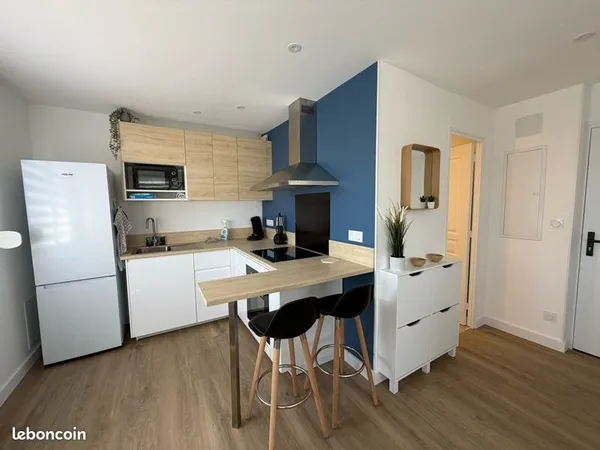 Appartement T2 meublé rénové - 30 m² - St Jean de Linières