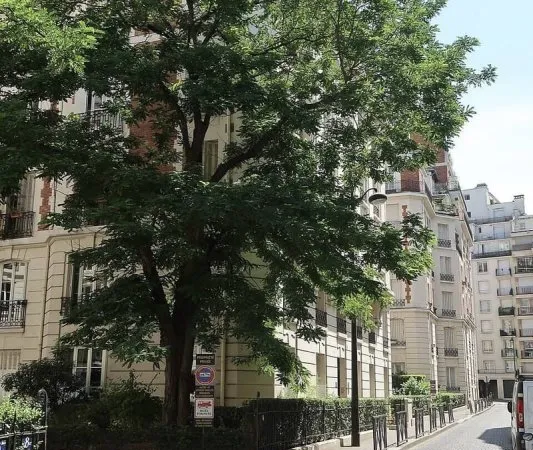 Appartement 2 pièces 101 m²