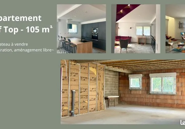 Appartement Duplex Roof Top Nancy