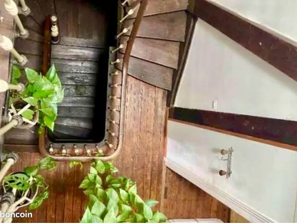 Colocation maison avec jardin - Nansouty