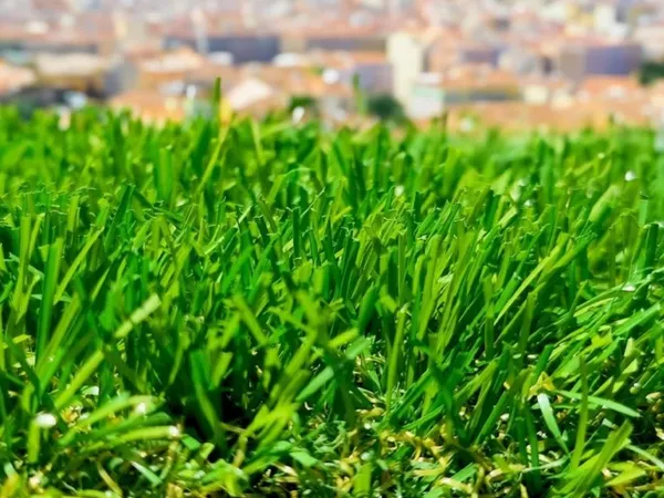 Terrain 526 m²