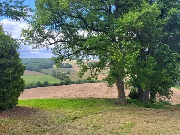 Terrain Vente Beaumont-de-Lomagne  220000m² 192600€
