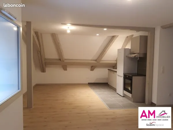Studio 1 pièce 45 m²