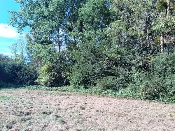 Terrain de loisir bois