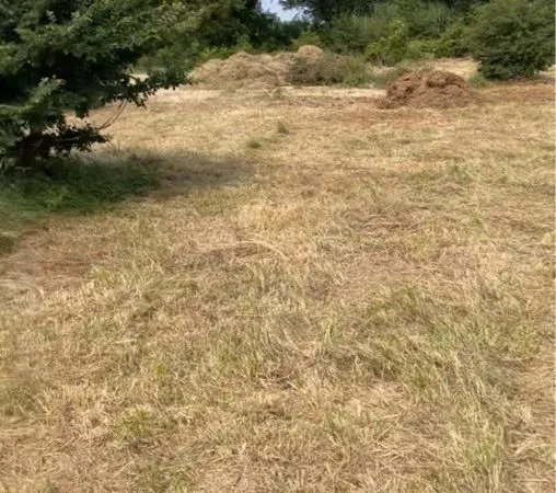 Terrain Agricole
