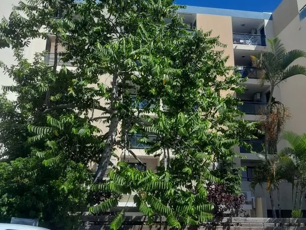 SAINTE-CLOTILDE - Résidence BlueBay - T2 meublé avec parking - Dernier étage