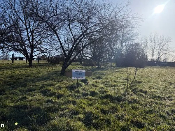 Terrain Vente Brillon-en-Barrois  917m² 4000€