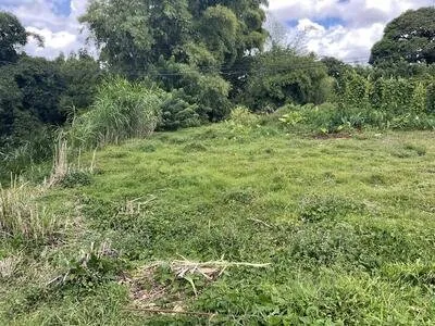 Terrain plat viabilisé et borné de 585 m² à Sainte-Marie