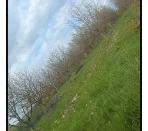 Terrain agricole