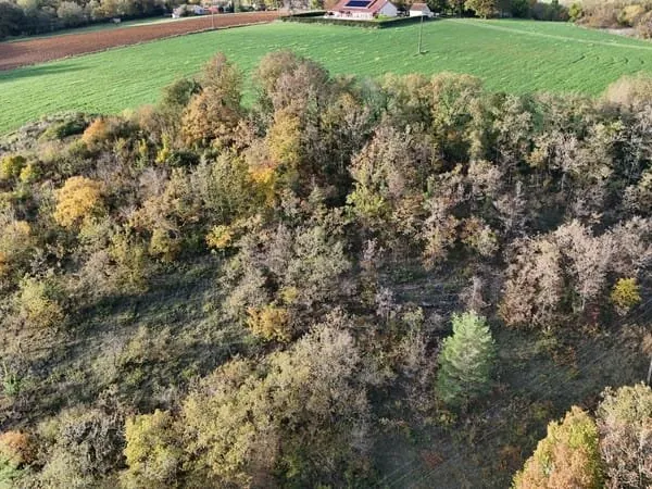 Terrain de loisir/bois