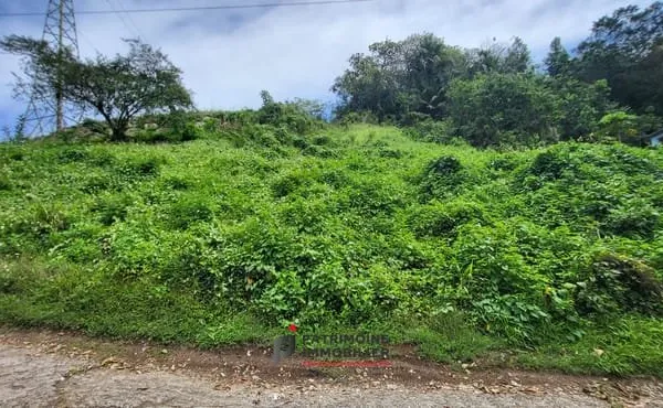 TERRAIN CONSTRUCTIBLE LÉGEREMENT EN PENTE DE 1250 M2 A VENDR