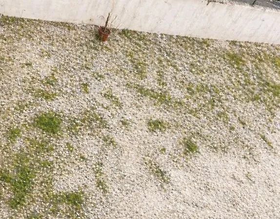 Place parking