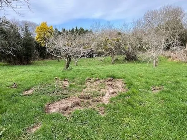 Terrain 1326 m²
