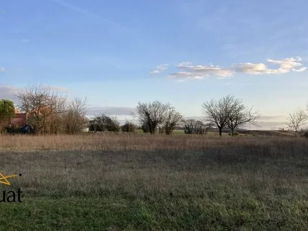 Rare ! Grand terrain