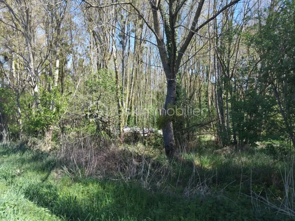Terrain 1125 m²