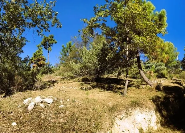 MAGNIFIQUE TERRAIN CONSTRUCTIBLE 846 m2 ASPREMONT