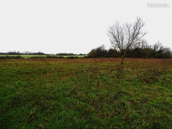 Terrain 2500 m² SAINT GEORGES SUR LOIRE