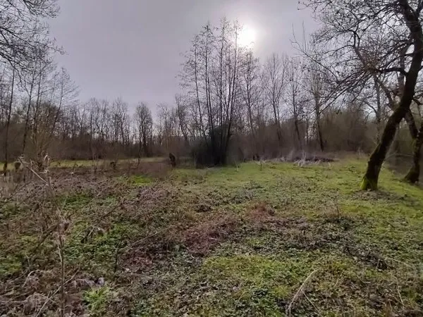 Terre en nature de pré