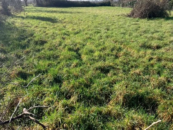 Terrain 1450 m²