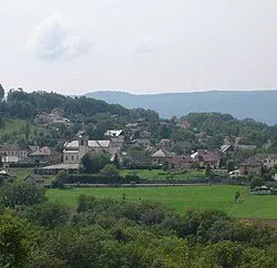 Viager 5 pièces 135 m²