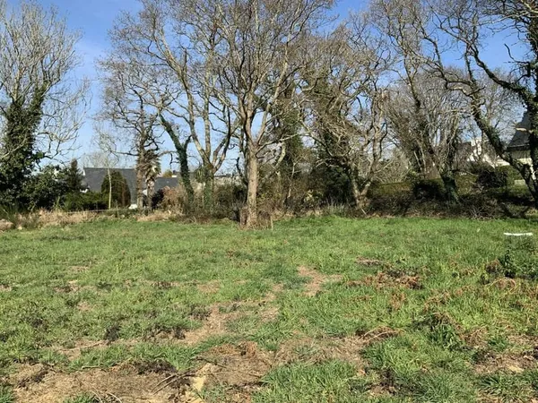 Terrain constructible