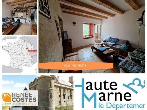 Vente en nue propriété - H71 ans - LANGRES (52200)