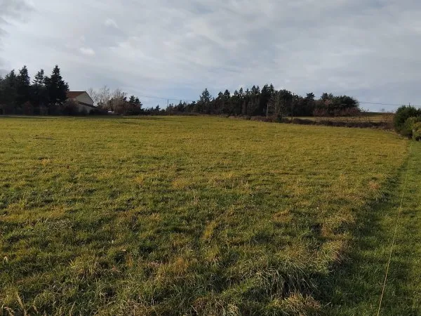 Terrain 2591 m²