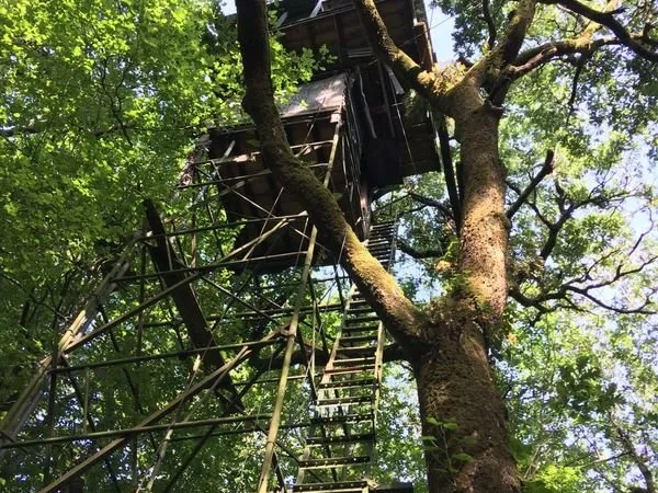 Forêt de 5984 m² à Urcuit