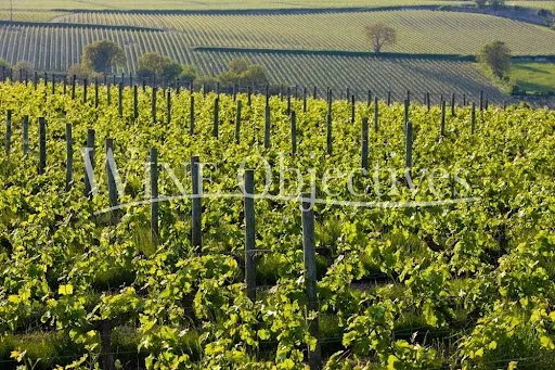 Bien agricole et foncier Vente Tours   6000000€