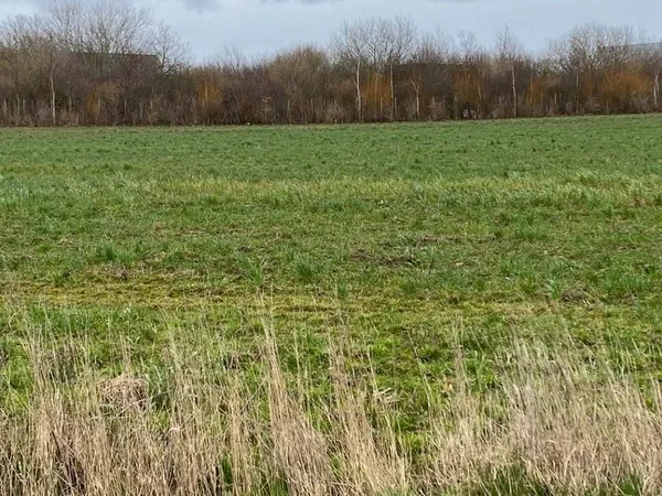 Terrain 1000 m²
