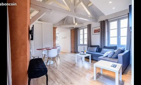 Duplex 43m2 hyper centre toulouse