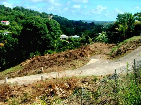 Terrain viabilisé de 908 m2 - Chopotte Le FRANÇOIS