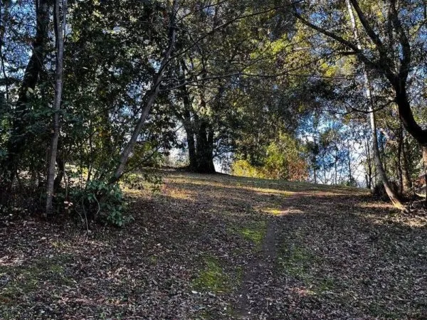 Terrain constructible 1000 m²