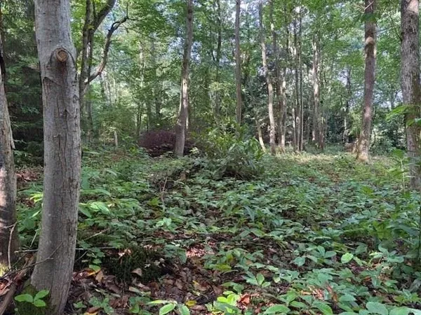 TERRAIN A BATIR AU CALME A CLAIREFONTAINE