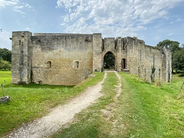 vendu meublé // Château XIV ème de 635m² Saintes