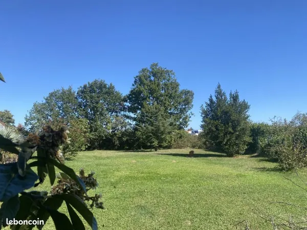 Beau terrain arboré environnement exceptionnel