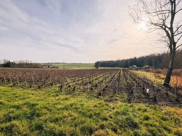 Terrain 2263 m²