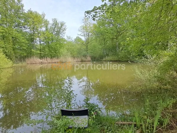 Plan d'eau Vente Chevillon-sur-Huillard  1900m² 33990€