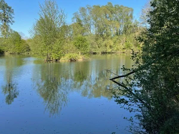 Plan d'eau Vente Pargny-Filain  20400m² 180000€