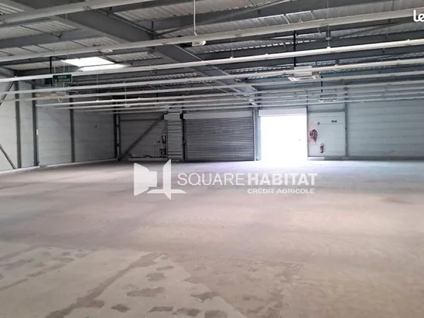 Local commercial 600 m²