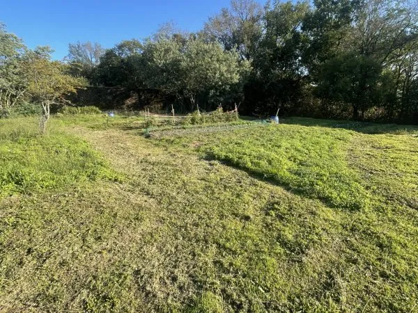 Terrain 1573 m²