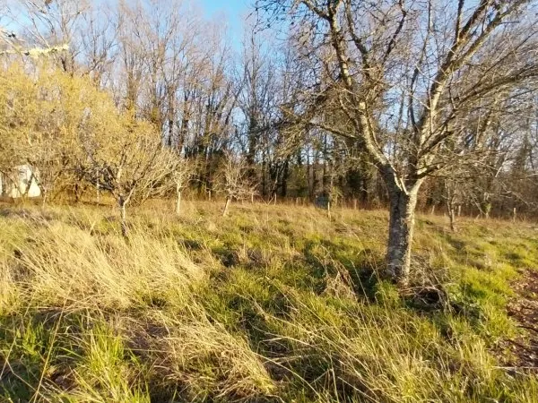 Terrain en individuel 1775 m²